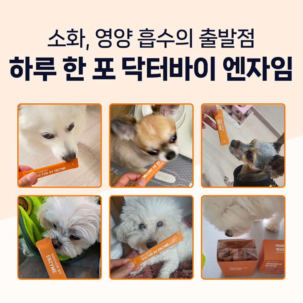 닥터바이 엔자임 강아지 소화 효소 소화불량 췌장영양제 30포, 1개