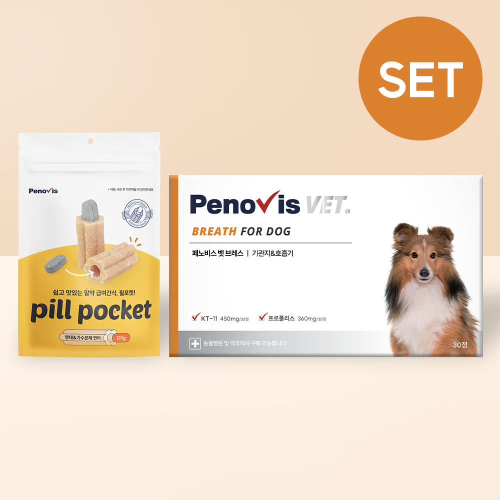 페노비스 강아지 기관지 영양제 기침 면역 호흡기+필포켓 세트 30캡슐, 1개