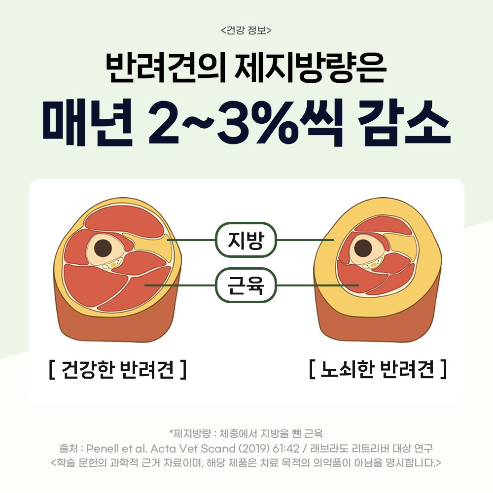 닥터바이 초유 단백질 강아지 근력개선 영양제 면역력 펫밀크 30개입, 1개