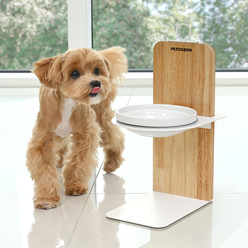 펫코본 강아지밥그릇 원목 철제 높이조절 애견 고양이 식기세트 1구 도자기 제품 이미지