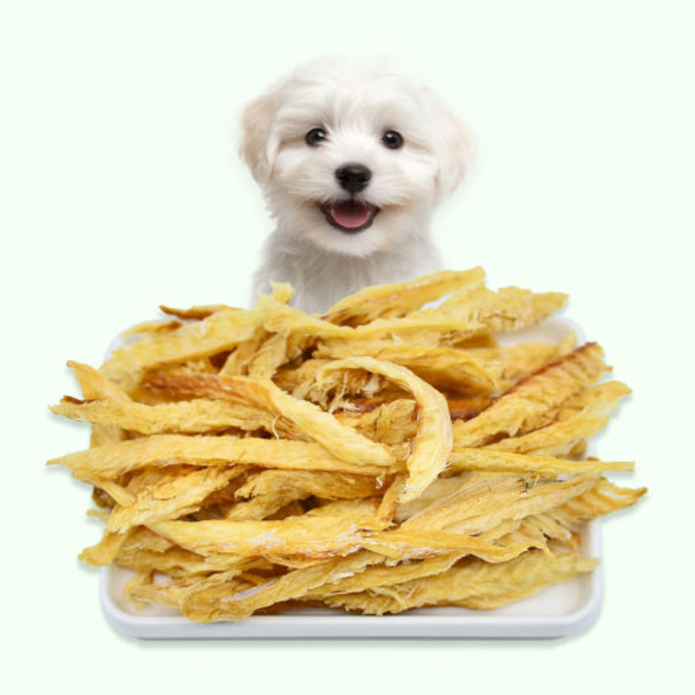 국내제작 바삭황태포 강아지 수제 간식 기력회복에 좋은 저염 황태 애견간식 황태, 40g, 1개