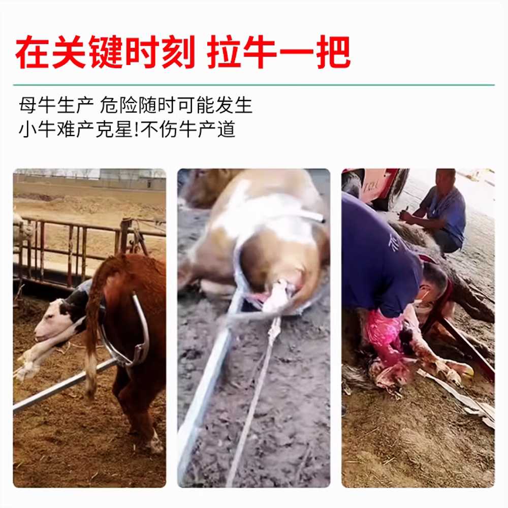 송아지 분만기 보조 견인 젖소 조산 기구 도르래 스텐 수납식 - 상세 이미지 3