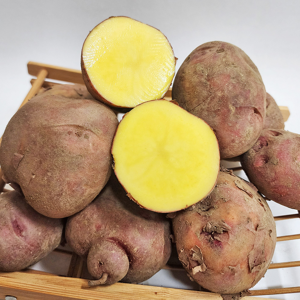 국내산 햇 감자 대왕,왕 혼합 3kg 5kg 10kg 수미 두백 단오 자영 홍감자 이미지 8