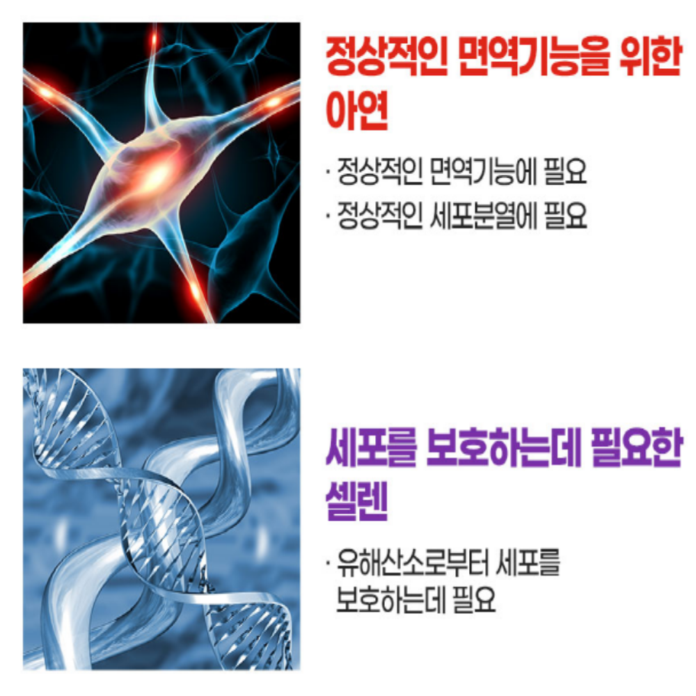 내츄럴플러스 바나바잎추출물 코로솔산 혈당관리 2개월분 이미지 7