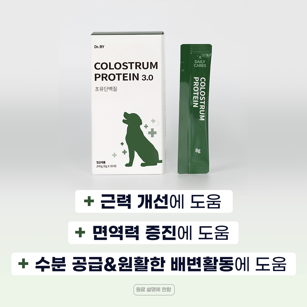 닥터바이 초유 단백질 강아지 근력개선 영양제 면역력 펫밀크 30개입, 1개 - 상세 이미지 2