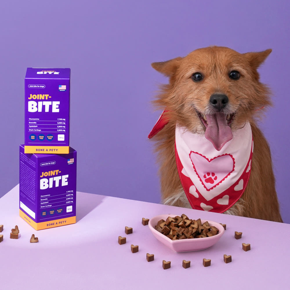 본아페티 초고함량 강아지 관절 영양제 슬개골 근육 관리용 조인트바이트 140g, 1개