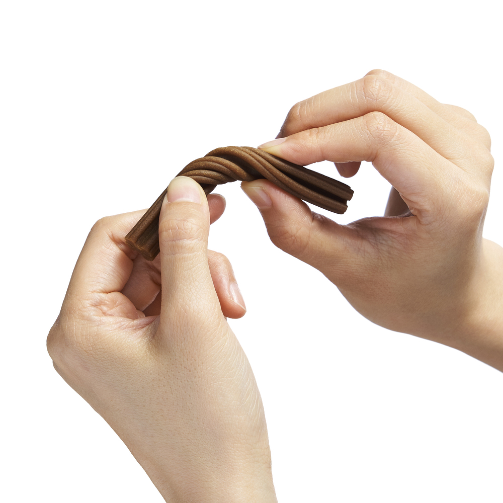 반려다움 부드러운 덴탈츄 항산화 구강건강 시니어견 덴탈껌 300g, 1개