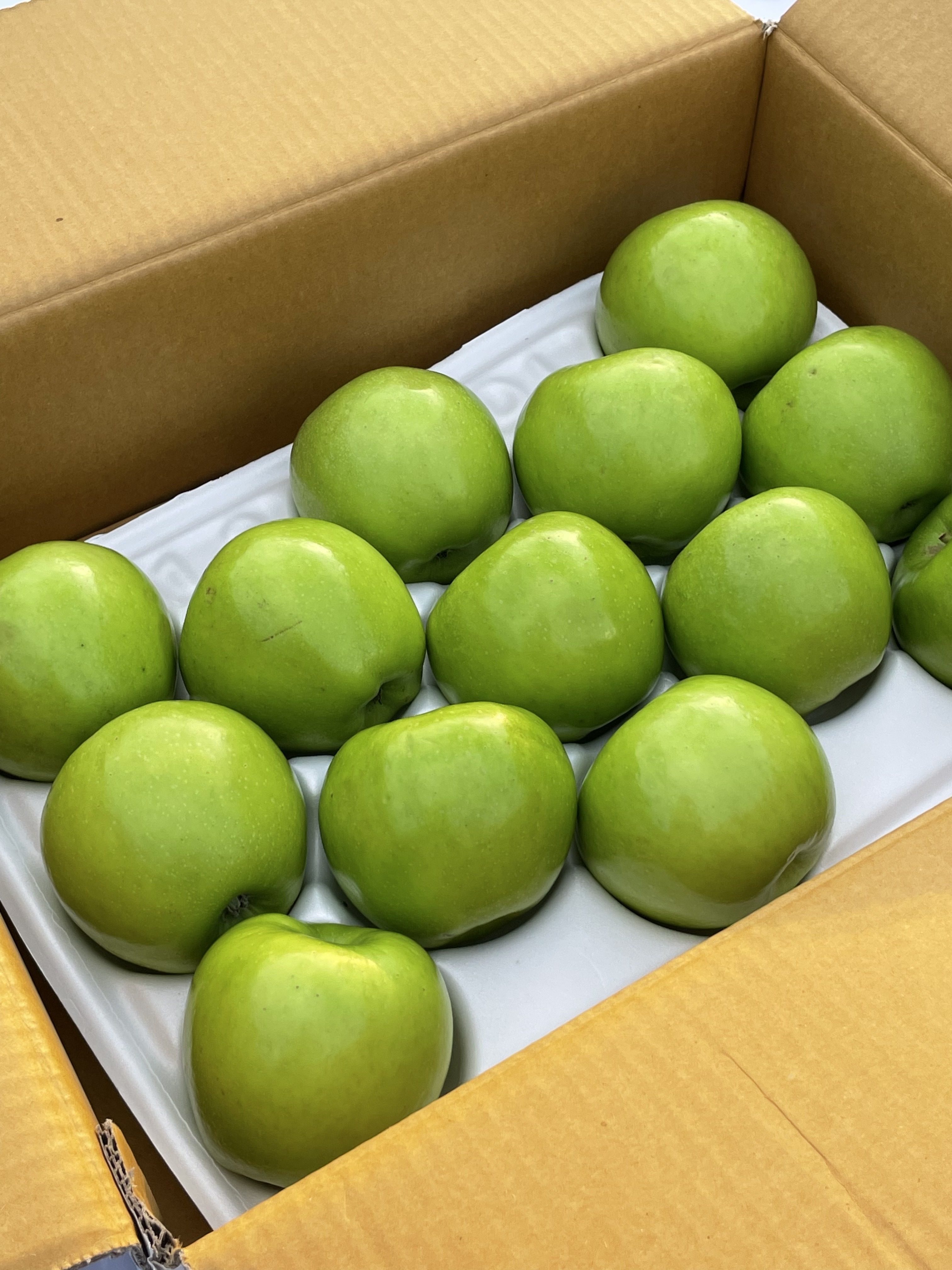 썸머킹 여름 청사과 3kg 아오리사과 5kg