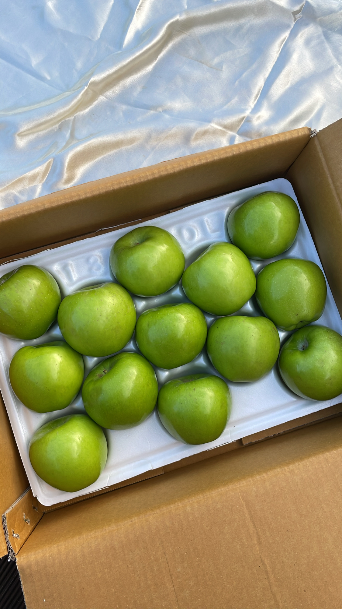 시나노골드 2kg 여름 청사과 3kg 아오리사과 5kg - 상세 이미지 2