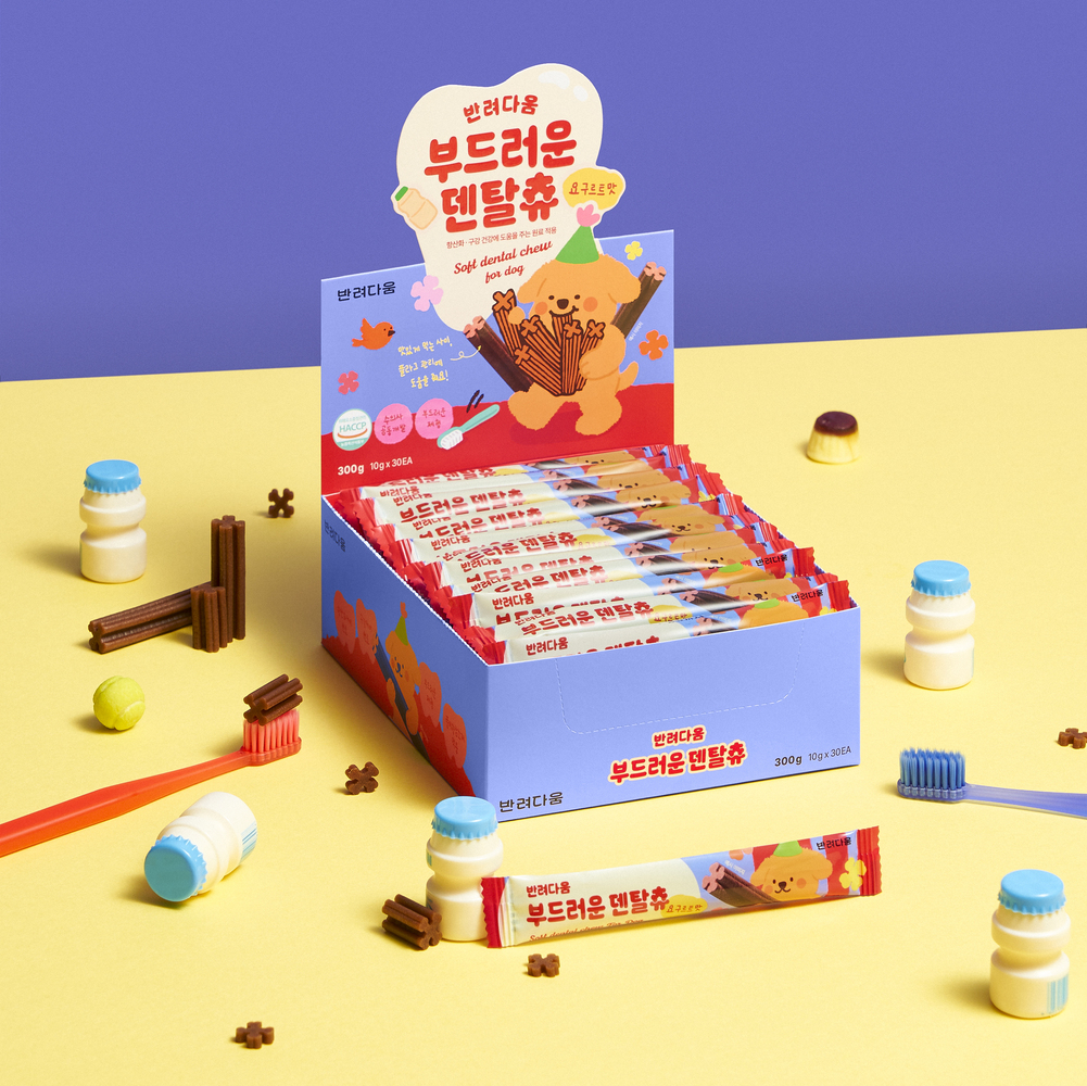 반려다움 부드러운 덴탈츄 항산화 구강건강 시니어견 덴탈껌 300g, 1개