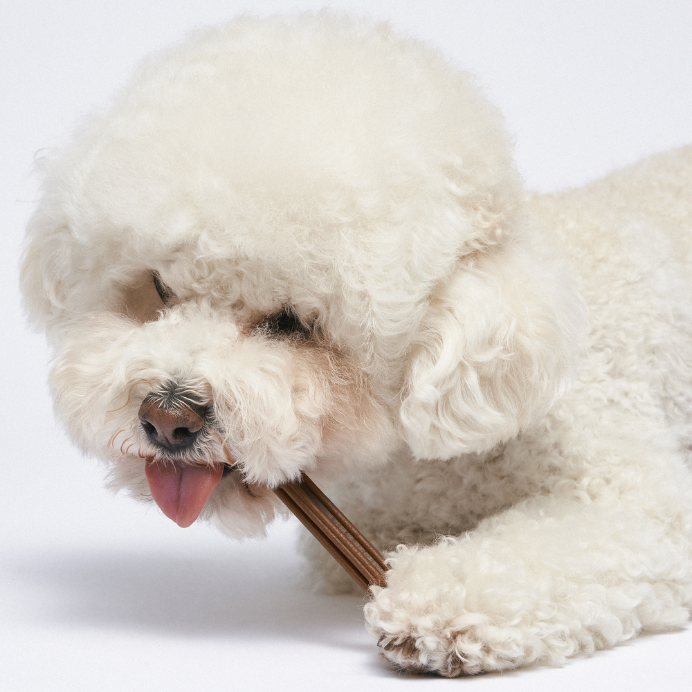 반려다움 부드러운 덴탈츄 항산화 구강건강 시니어견 덴탈껌 300g, 1개