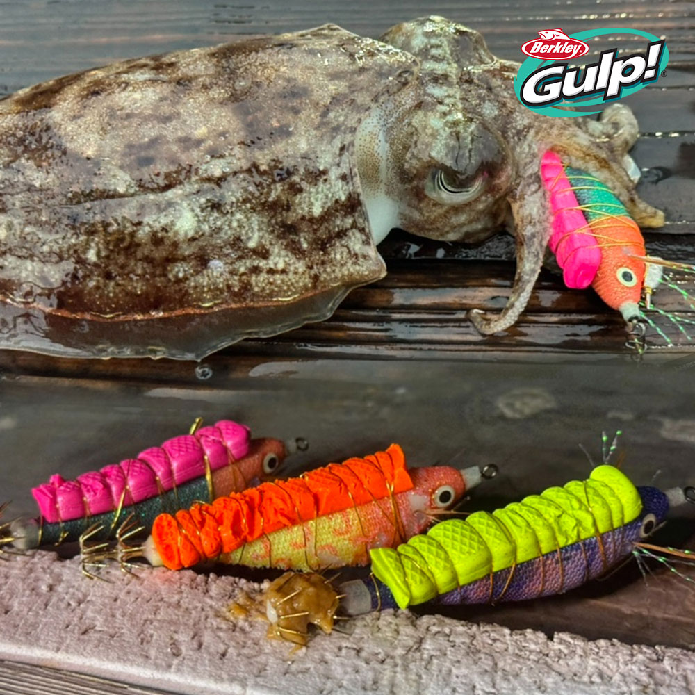 버클리 서프바이트 스트립 한치 오징어 미끼 집어제