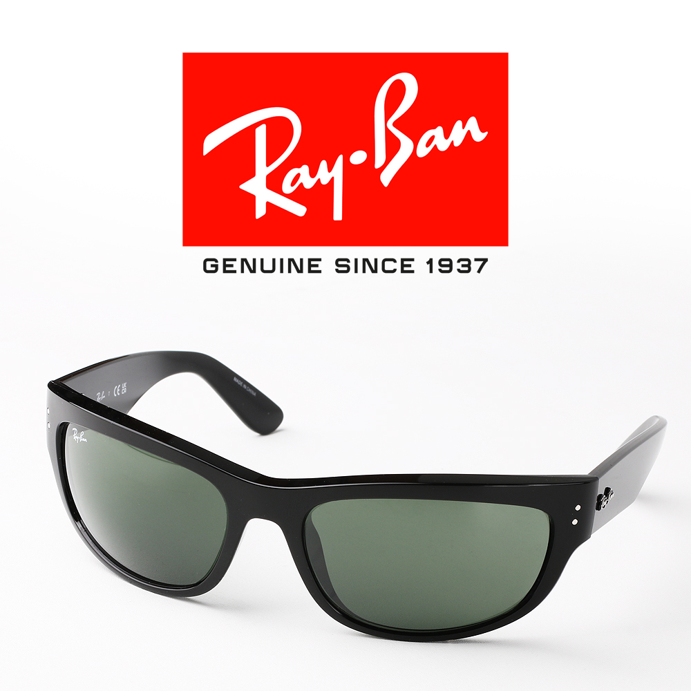 레이밴 볼드 템플 메가 선글라스 RB2289 RB0316S RB0840SF RB4454F - 상세 이미지 2