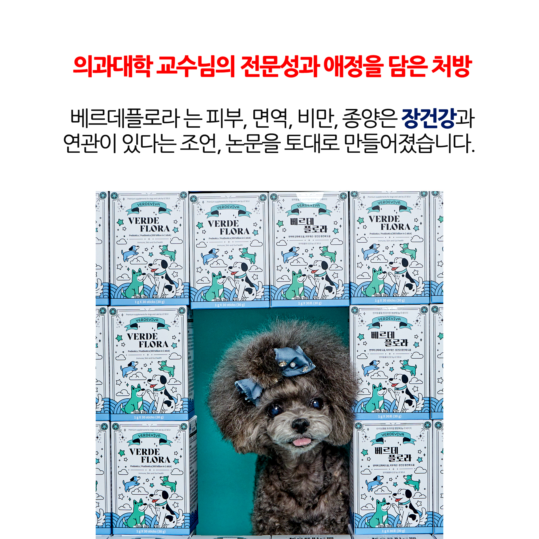 베르데플로라 반려동물 유산균 EF-2001 3,000억 프리미엄 사균체 270포, 9개 - 상세 이미지 2