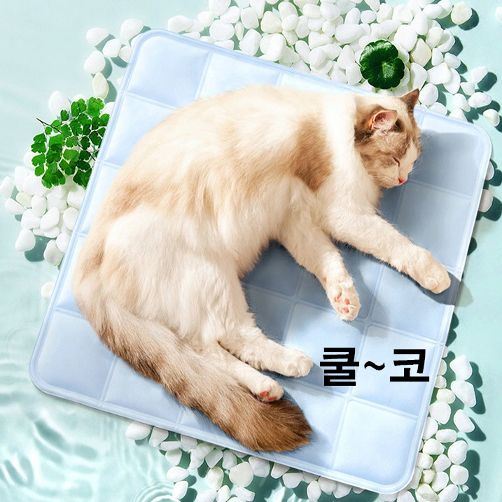 강아지 냉감패드 쿨매트 고양이쿨링매트 - 상세 이미지 3
