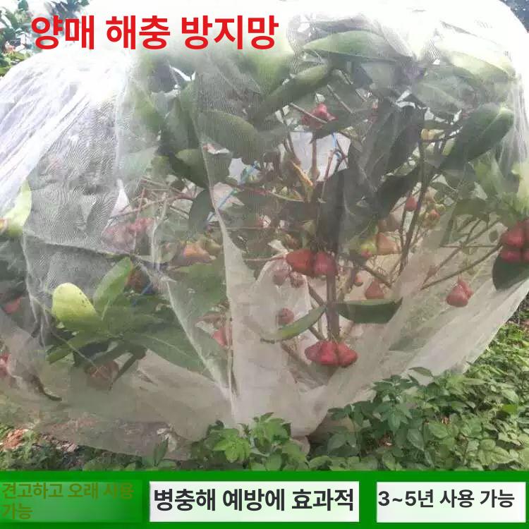 참새 그물망 블루베리 식물 농사 정원 보호 텃밭 방조망 40목 두꺼운 면적 가격 10m부터 무료배송 - 상세 이미지 2