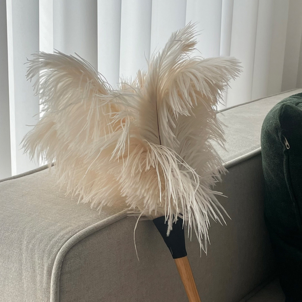 레데커 타조털 먼지털이개 먼지떨이 화이트(50cm)468809 - 상품 이미지