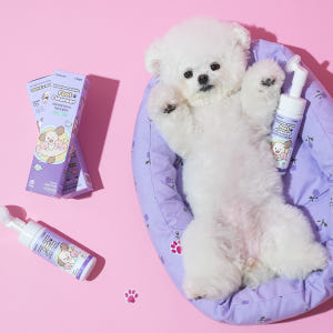 펫생각 버블풋 워터리스 강아지 발 세정제 샴푸 발바닥 클렌저 발사탕 습진... 솔직 후기 | 실제 사용자 리뷰 총정리 - 상품 이미지 4