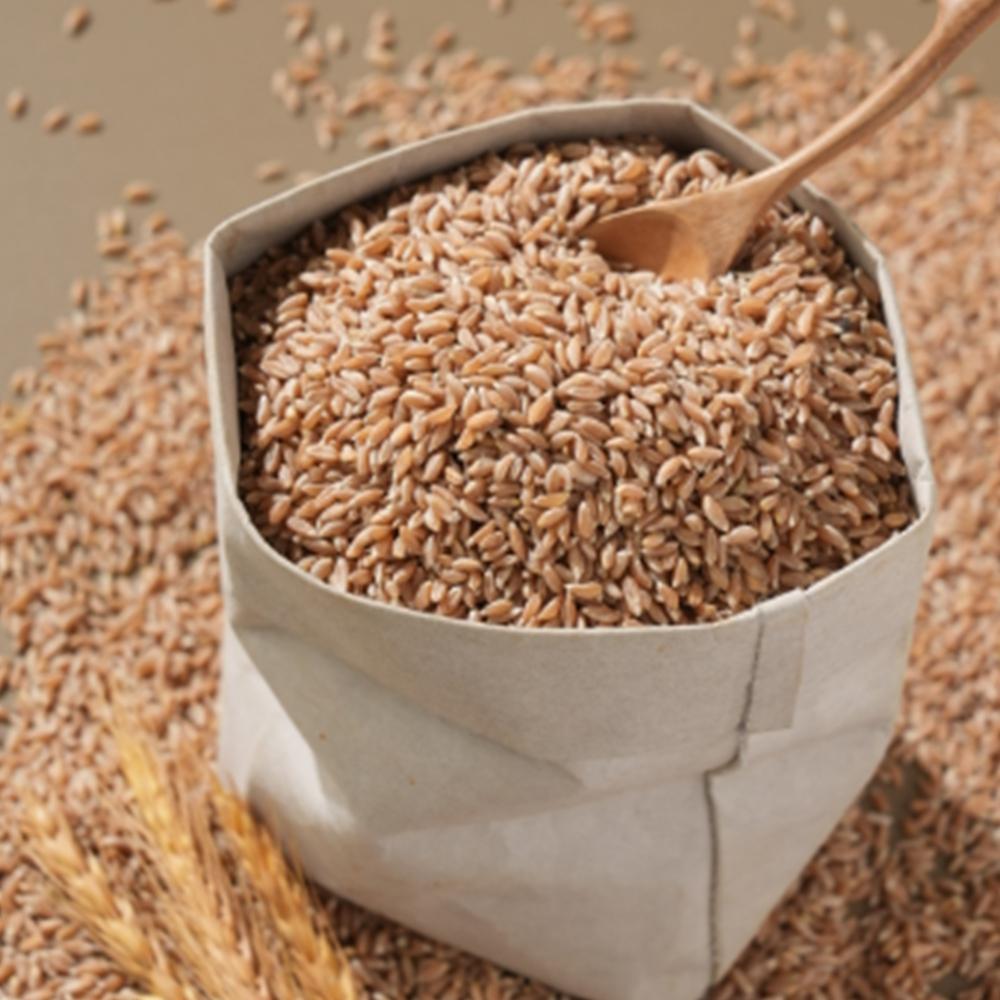 고대곡물 터키산 에머밀 프리미엄 파로 500g 1kg 맛보기 - 상품 이미지