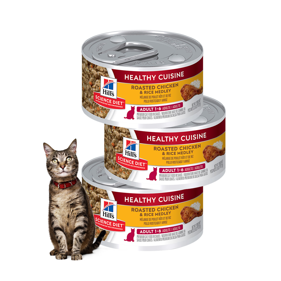 힐스 고양이사료 어덜트 헬시 퀴진 치킨 & 당근 스튜 79g x 3개