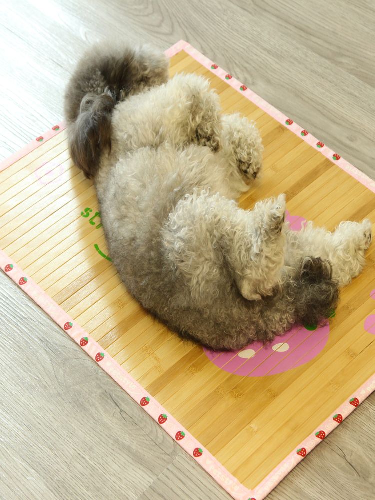 강아지 대나무 돗자리 대나무자리 발코니 여름 위 쿨링 고양이 매트 - 상세 이미지 4