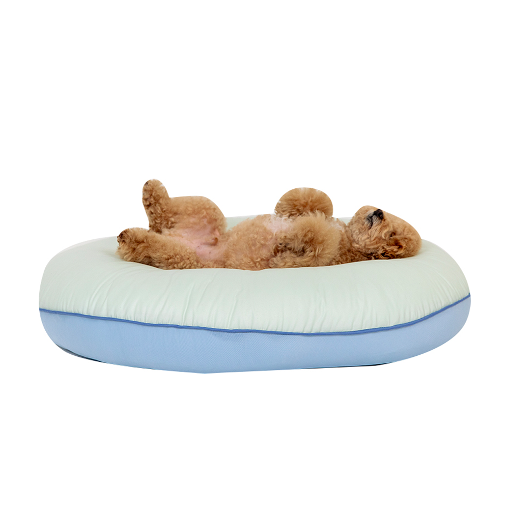 래핑찰리 강아지 방석 허그미 쿠션 - 메인 이미지
