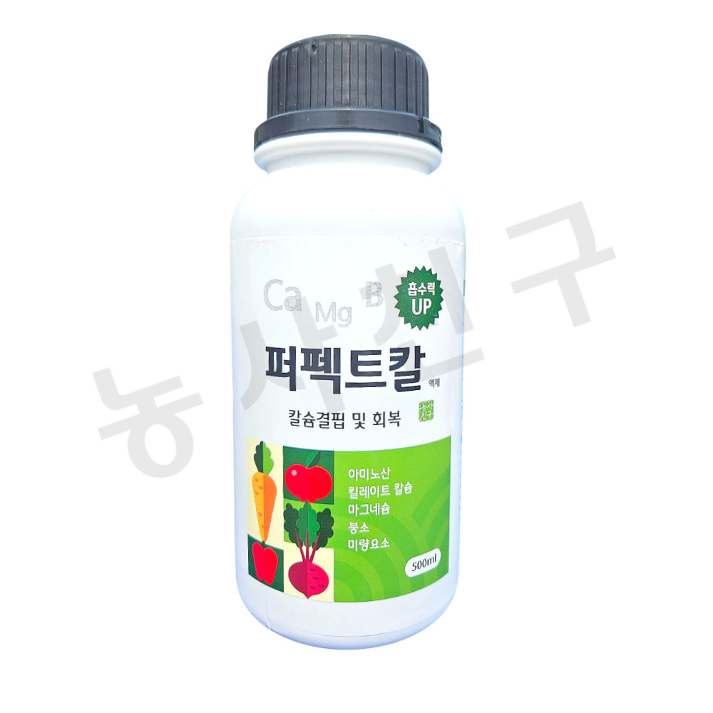 퍼펙트칼 500ml 고추 배추 칼슘제 붕소 칼붕 마그네슘 부족 킬레이트 칼슘 토마토 다육