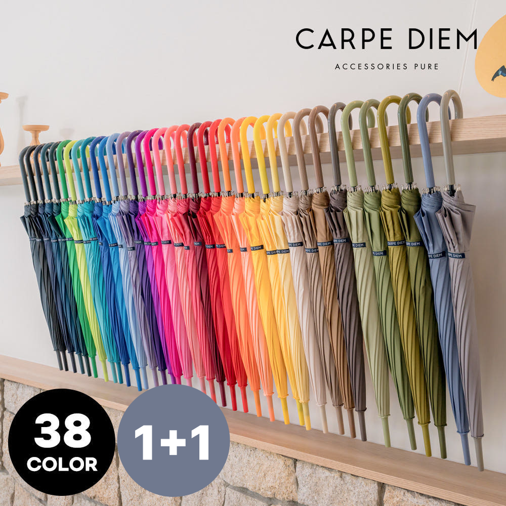 카르페디엠 시그니처S 컬러 자동 장우산 1+1 [S001]