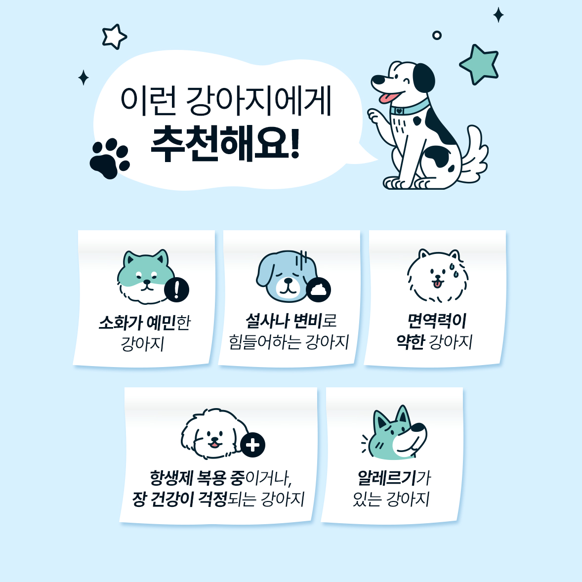 베르데플로라 반려동물 유산균 EF-2001 3,000억 프리미엄 사균체 270포, 9개 - 상세 이미지 3