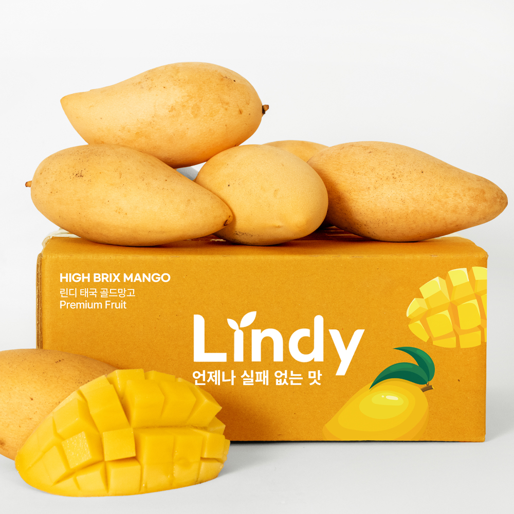 린디 프리미엄 태국 골드망고 남독마이 망고 항공직송 수입과일 - 상품 이미지