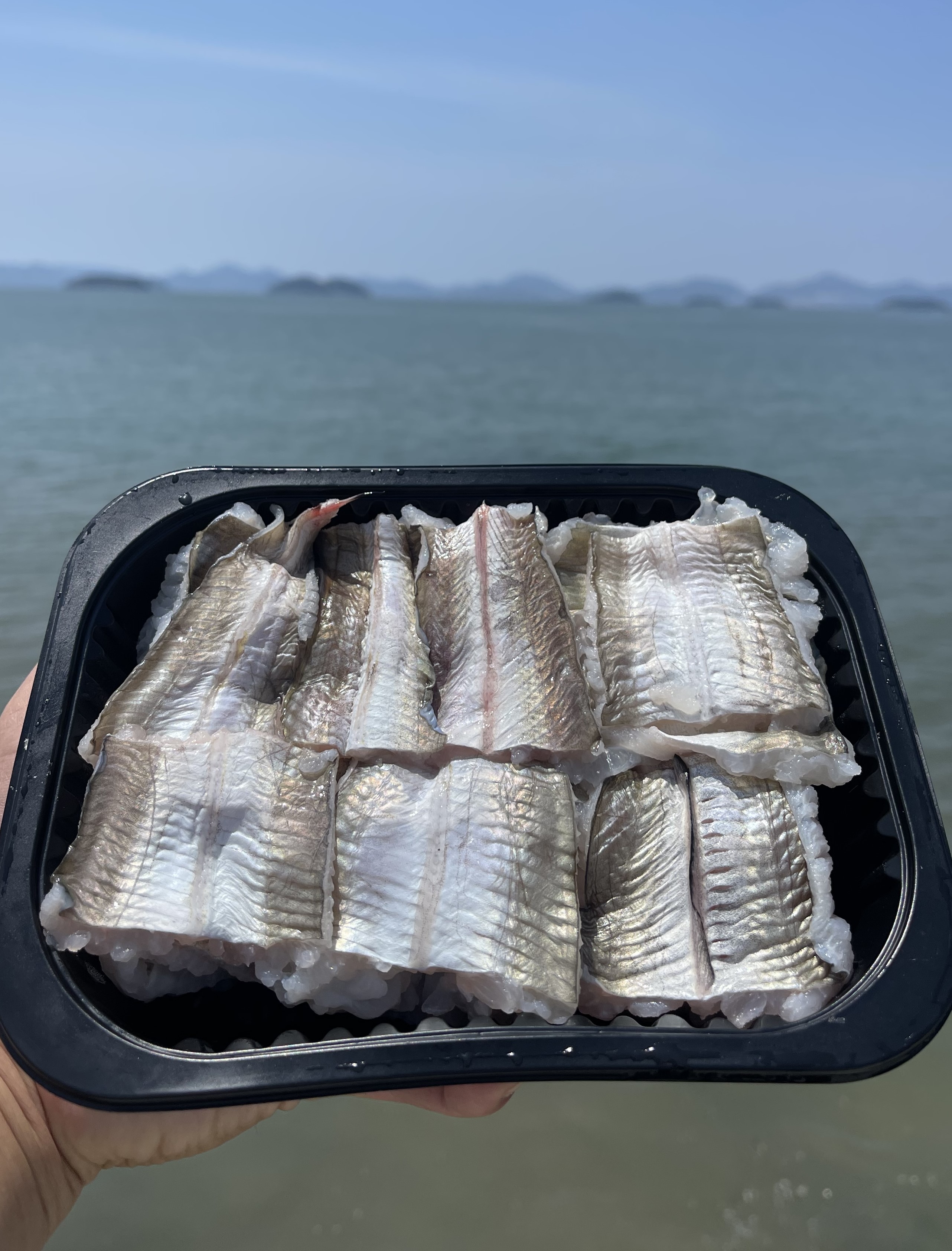 여수갯장어 하모샤브샤브1kg 손질 후 500g 육수팩 야채세트 - 상품 이미지