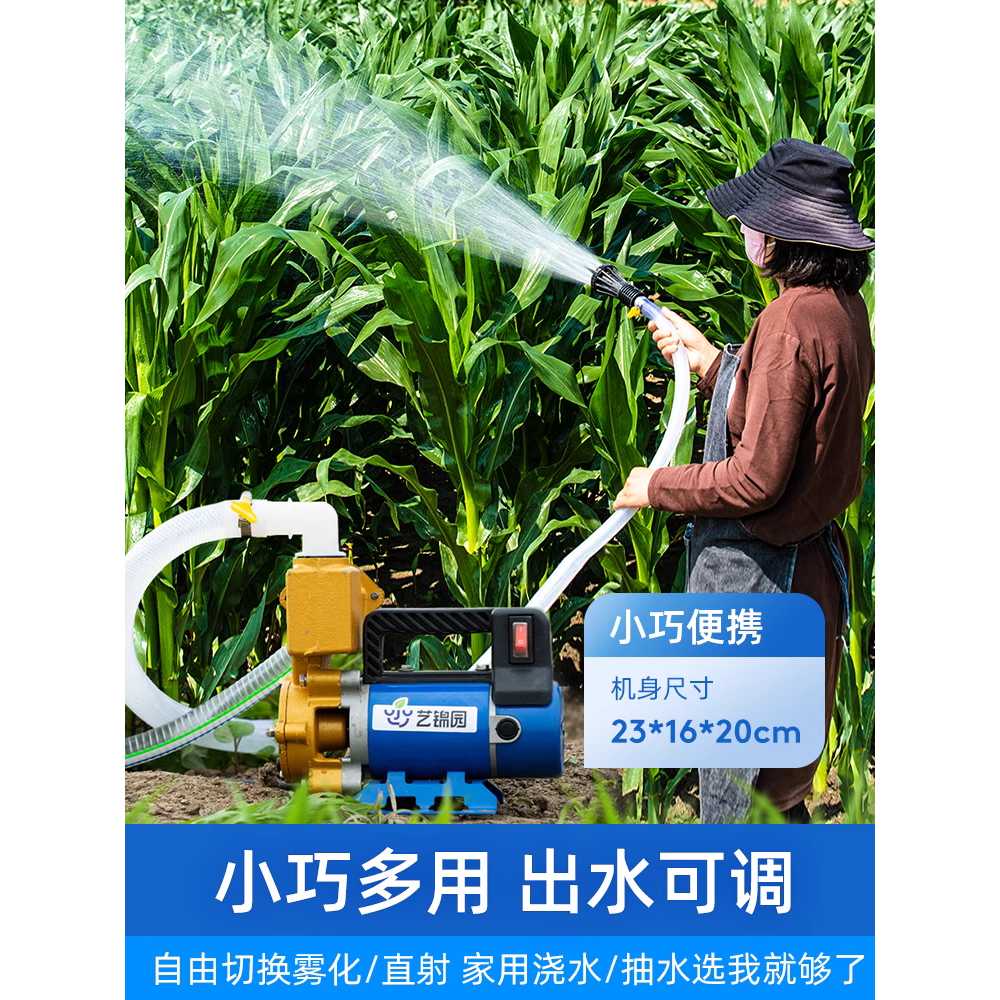 고출력 전기 양수기 농업용 인공물 관수기 물 펌프 12V 300W 10m 이미지 6