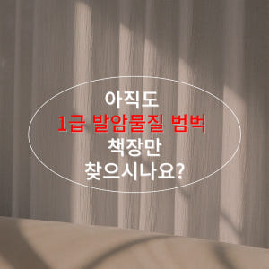 안전한 E0등급 칸높이 업그레이드 거실 책장 전면 철제 E0 책장 서재 ... 솔직 후기 | 실제 배치 사진 포함 - 상품 이미지 2