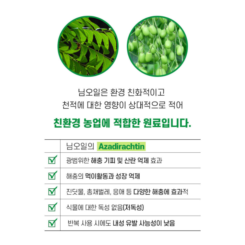 한번에싹 250ml 님오일 고삼 효과 고추 배추 진딧물 뿌리파리 담배나방 응애 깍지벌레 노린재 퇴치 약 농약 살충제 아님 - 상세 이미지 3