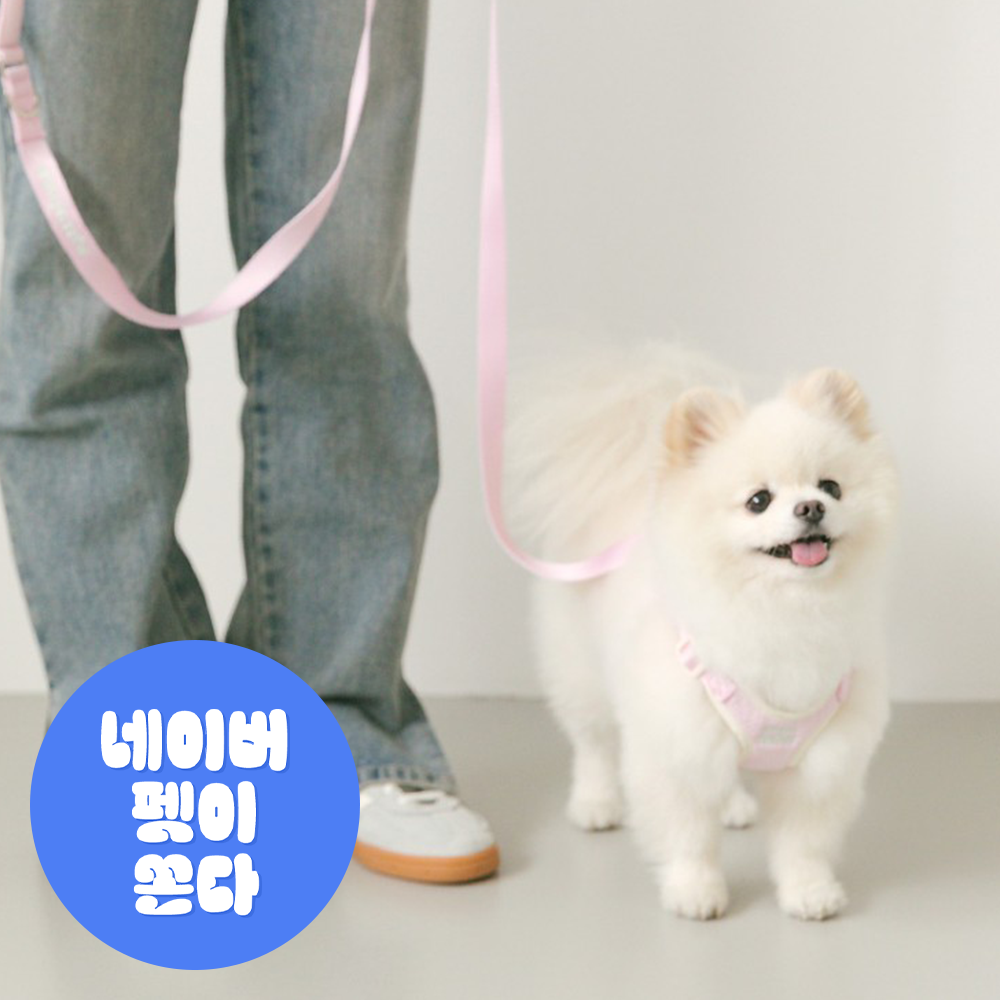 SSFW 에브리데이 리쉬 (4 colors) - 메인 이미지