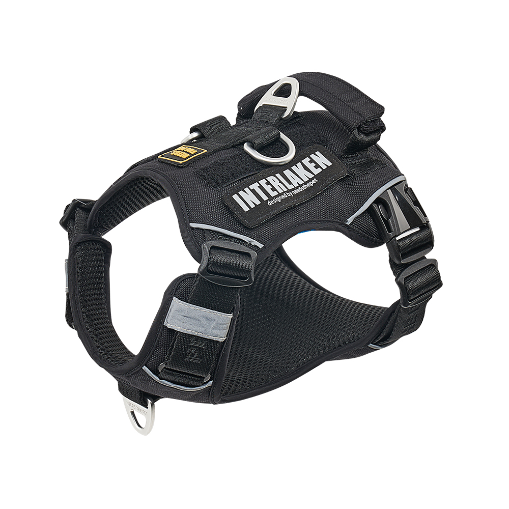 인터라켄 커스텀 강아지 하네스 H형 소형견 앞섬방지 앞고리 가슴줄 XXS