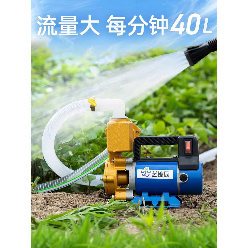 고출력 전기 양수기 농업용 인공물 관수기 물 펌프 12V 300W 10m - 상세 이미지 3