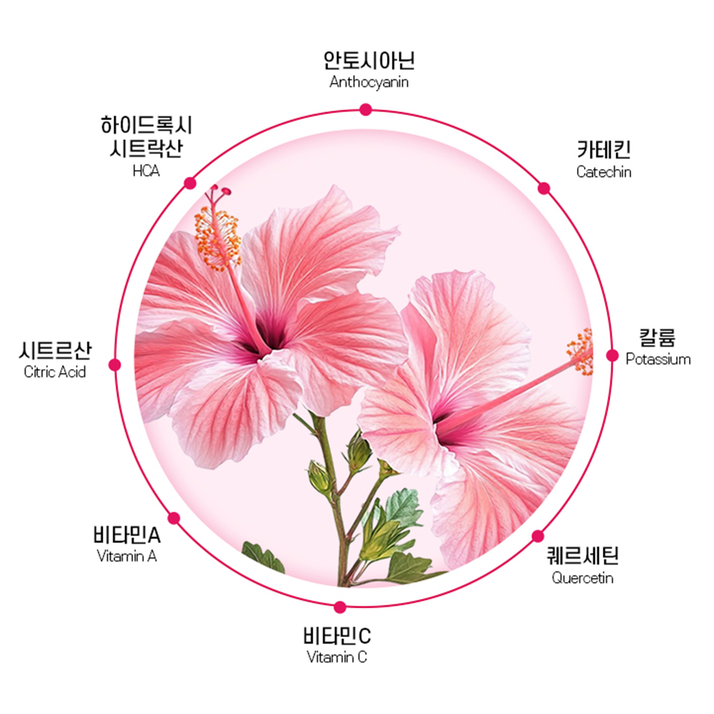 무궁화 무궁 리얼 핏 무긍 무궁화정 6개월분 - 상세 이미지 4