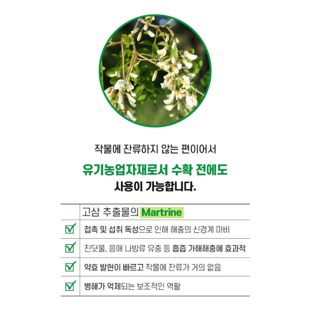 한번에싹 250ml 님오일 고삼 효과 고추 배추 진딧물 뿌리파리 담배나방 응애 깍지벌레 노린재 퇴치 약 농약 살충제 아님 - 상세 이미지 4