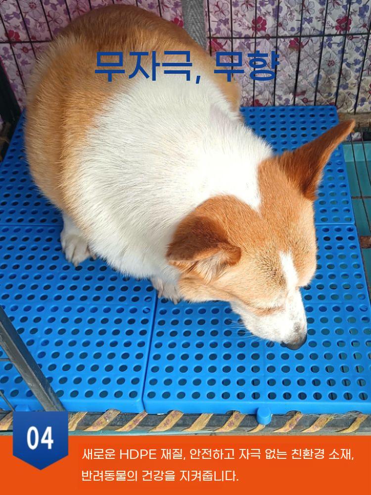 강아지 플라스틱 깔판 조립식 창고 파렛트 타공 이미지 6