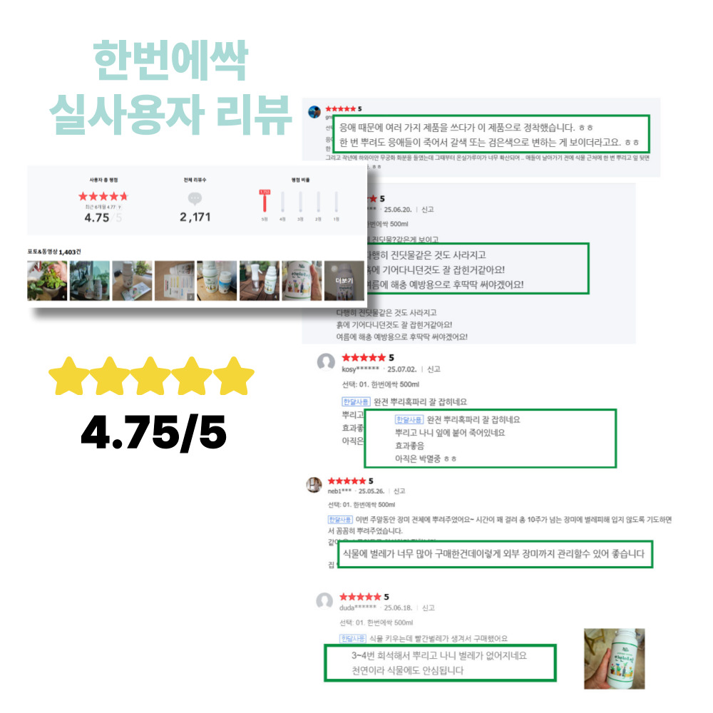 한번에싹 500ml 님오일 고삼 효과 고추 배추 진딧물 뿌리파리 담배나방 응애 깍지벌레 노린재 퇴치 약 농약 살충제 아님 이미지 6