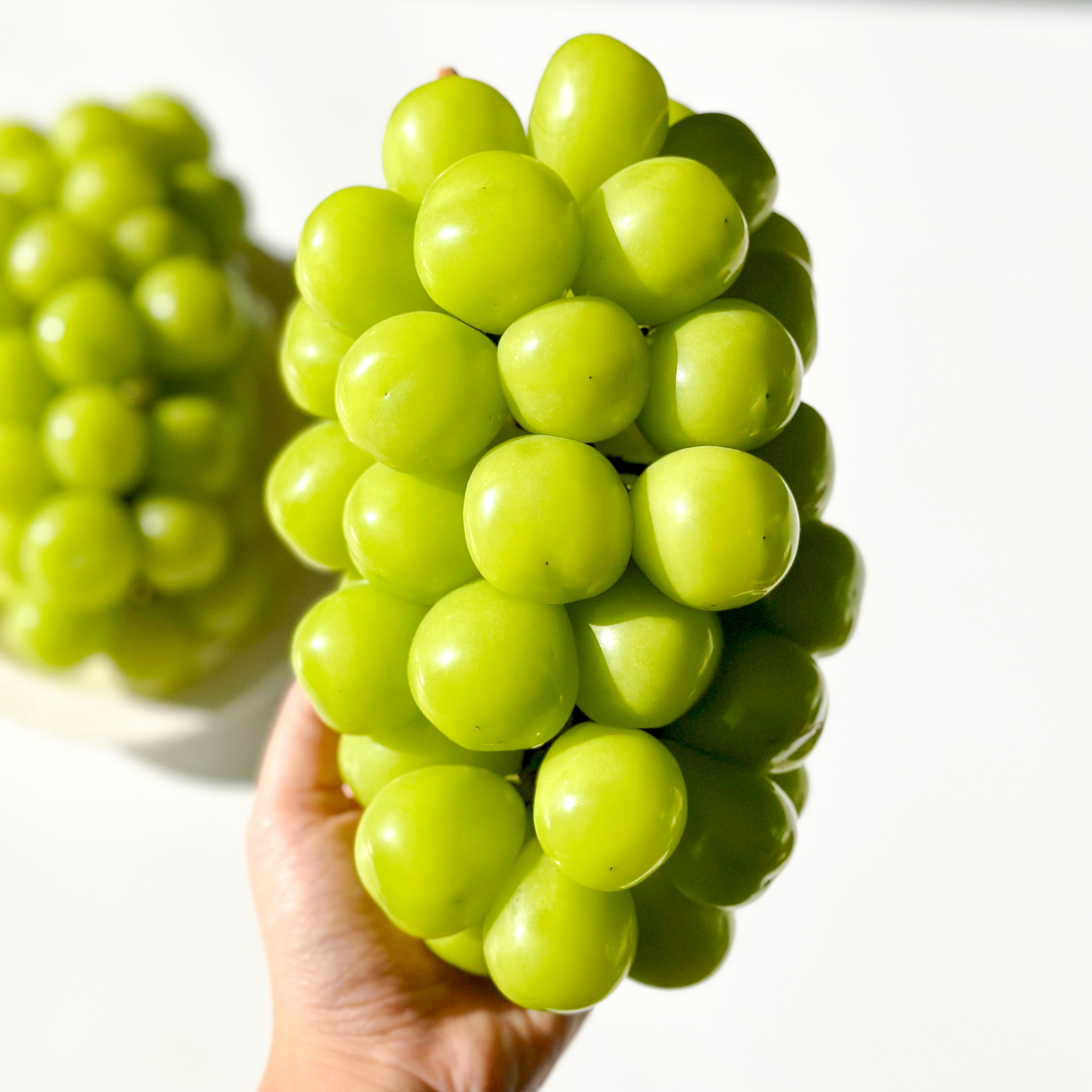 알큰 샤인머스켓 접대 선물 고당도포도 17Brix, 700g, 3개 - 상세 이미지 2