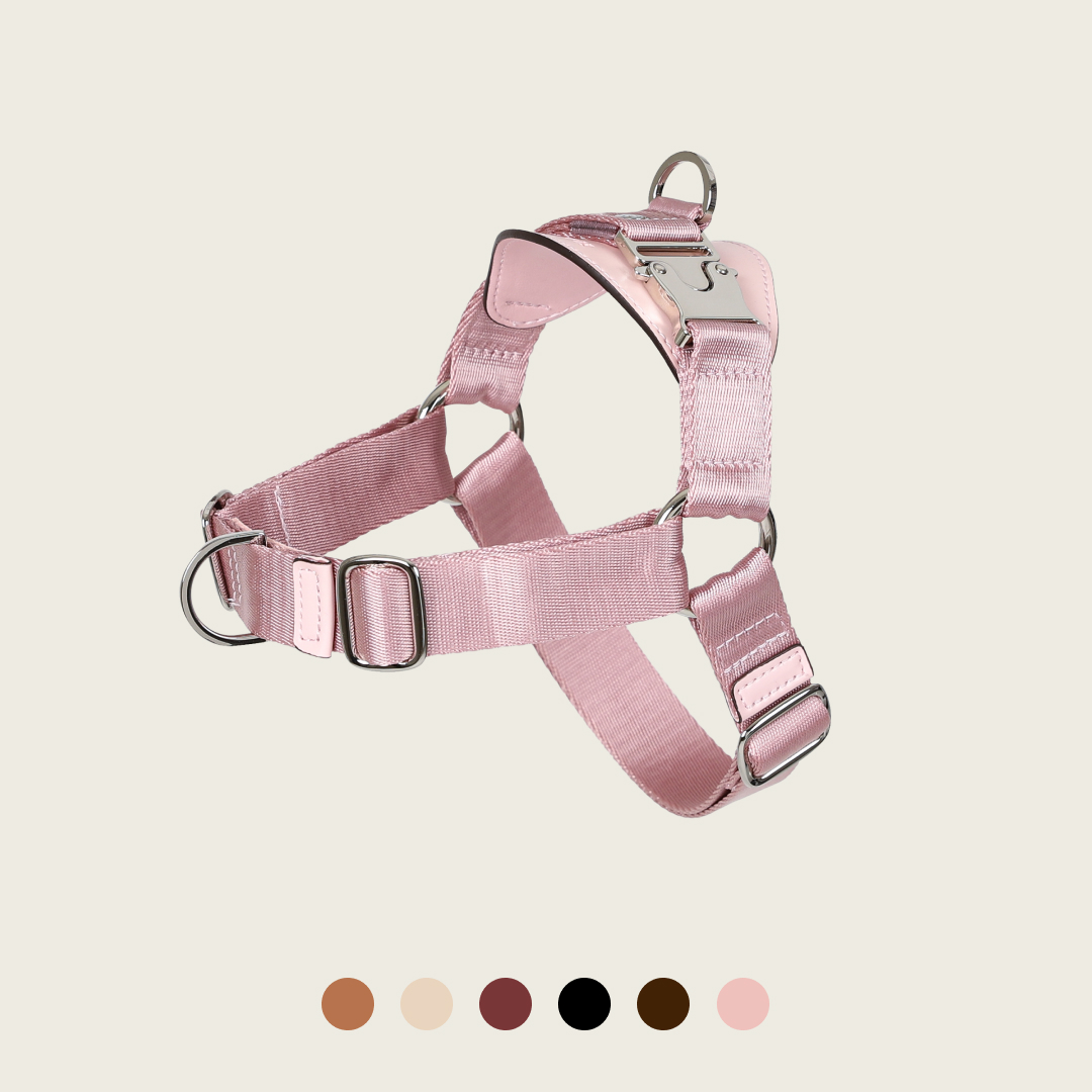 호지 홀스빗하네스 Y형 산책 가슴줄 소형견 중형견 대형견 반려견 애견 하네스 산책줄 XS