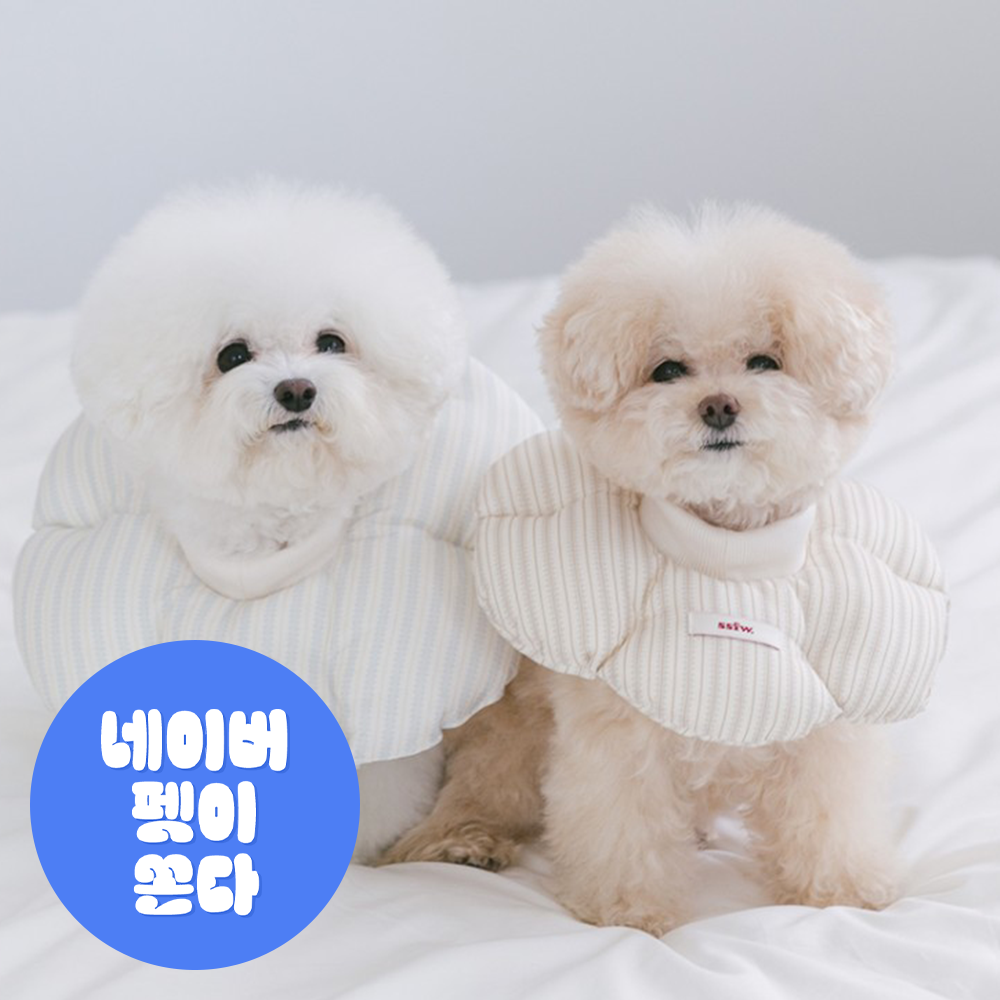 SSFW 클라우드 넥카라 (2colors) 제품 이미지