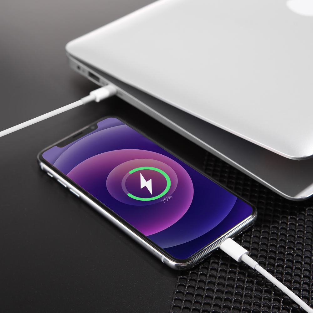 넥스트유 PD USB C to 라이트닝 8핀 고속충전 아이폰 케이블 1M 1733U2-8P - 상세 이미지 4