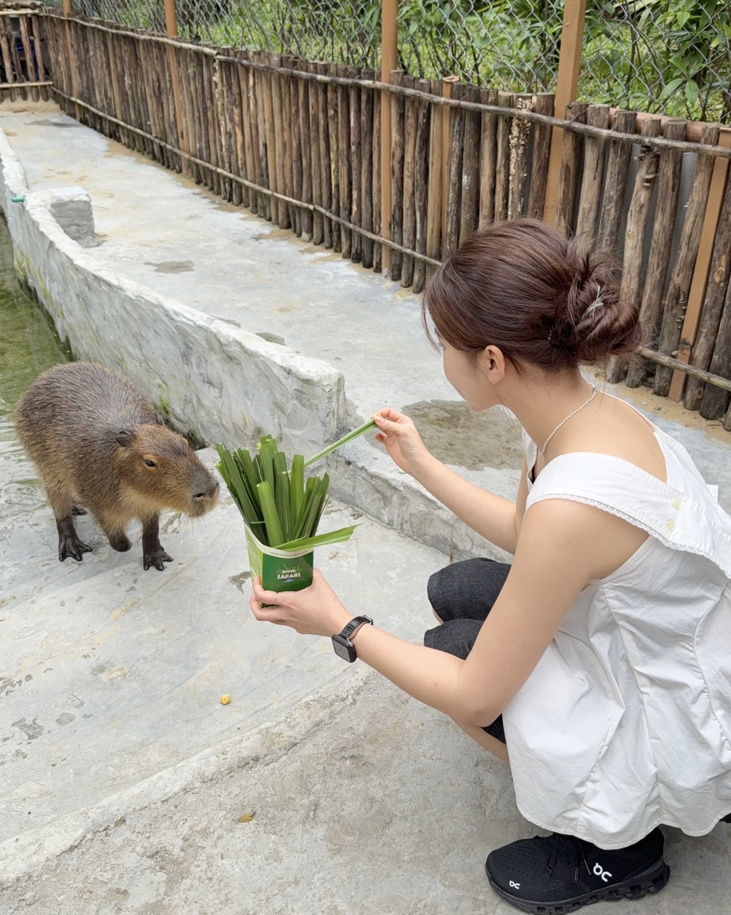 다낭 빈원더스 남호이안 투어 마사지 워터파크 왕복 픽업샌딩 단독/조인