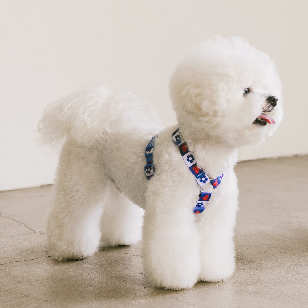 강아지 하네스 소형견 H형 하네스 세트 가슴줄 목줄 하트팝