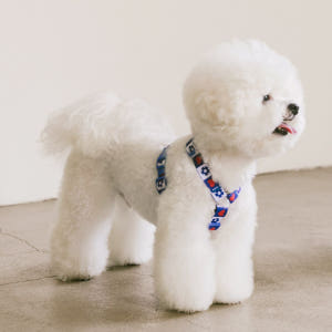 강아지 하네스 소형견 H형 하네스 세트 가슴줄 목줄 하트팝 솔직 후기 | 실제 사용자 리뷰 총정리 - 상품 이미지 2