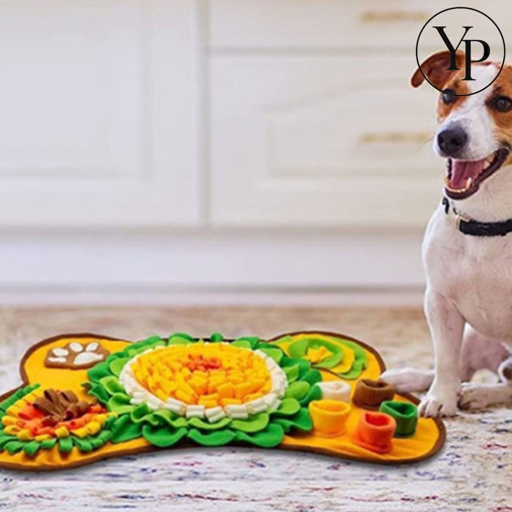 강아지 노즈워크 후각놀이 매트 분리불안 스트레스해소 훈련 킁킁 간식패드