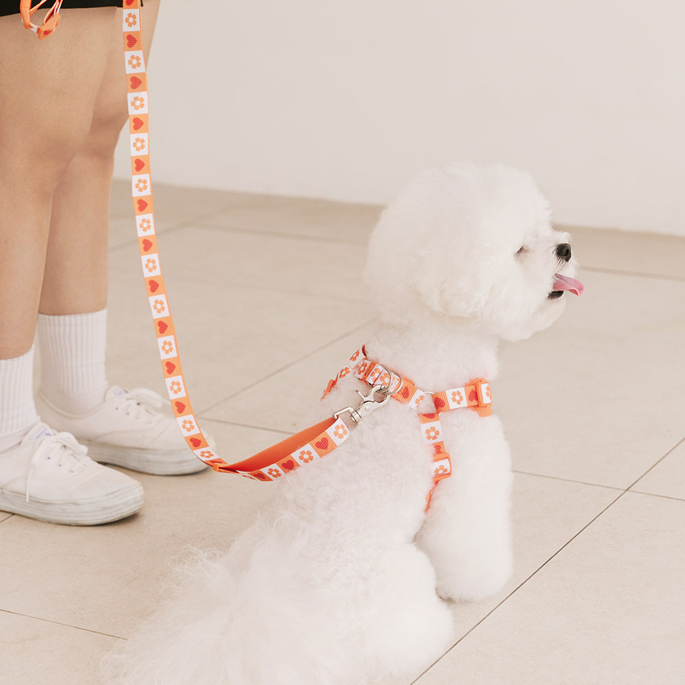 강아지 리드줄 산책줄 핸즈프리 리쉬 하트팝